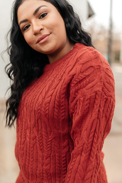 Annie Knit Top in Rust