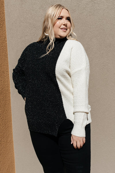 Mostly Dark Turtle Neck Sweater